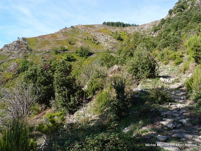 sentier du mouflon les plantiers