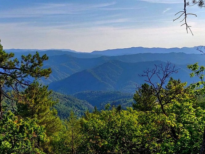La Corniche des Cévennes_Saint-André-de-Valborgne