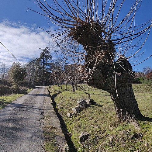 Espace Cyclosport Massif de l'Aigoual - Circuit 18