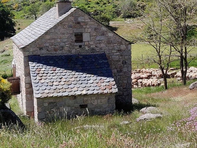 Versant océanique de l'Aigoual_Valleraugue