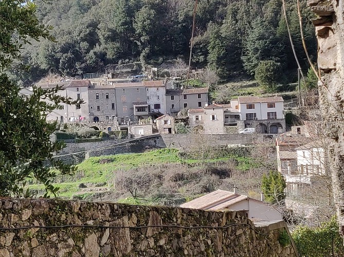 Les terrasses de l'Oignon doux - Escapades à vélo_Valleraugue