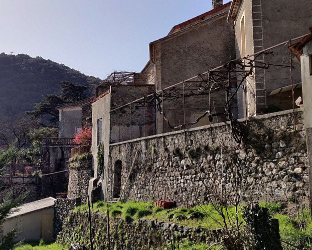 Les terrasses de l'Oignon doux - Escapades à vélo_Valleraugue