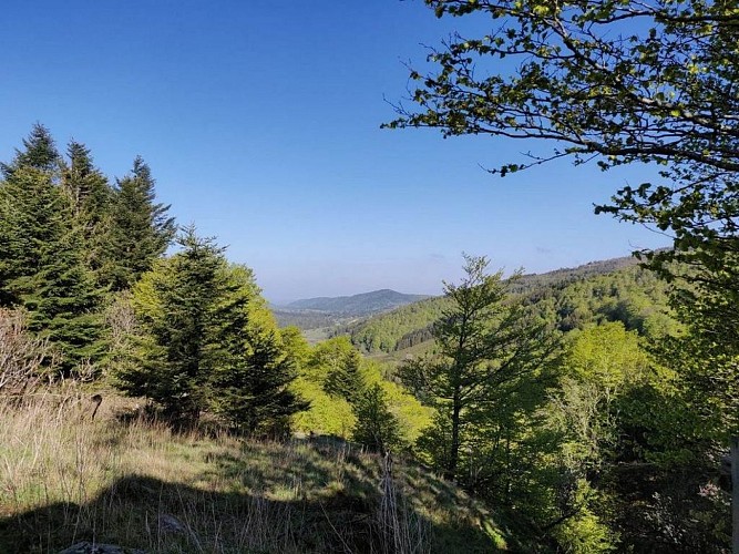 Espace VTT Massif de l'Aigoual - Circuit 3