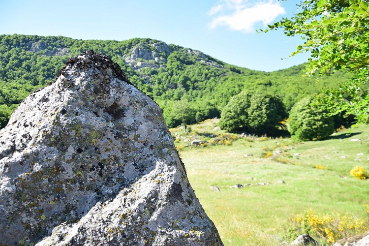 Sentier de Malpertus