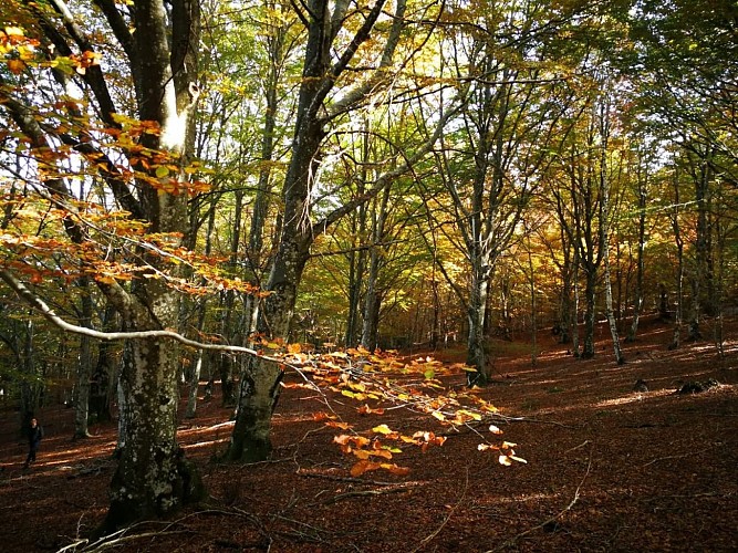 sentier de Pont Marès