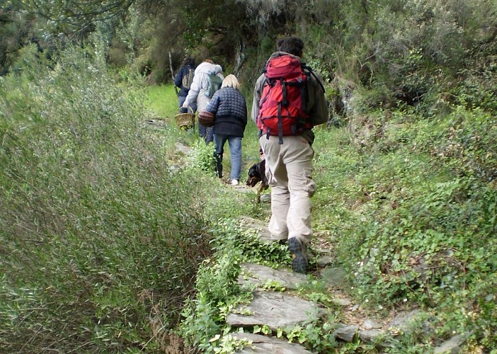 Sentier de Soult
