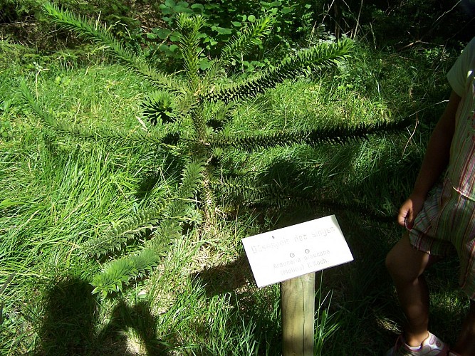 Arboretum de l'Hort de Dieu