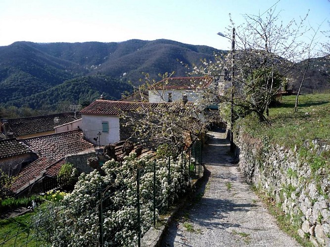 notre dame de la rouviere