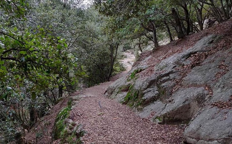 notre dame de la rouviere