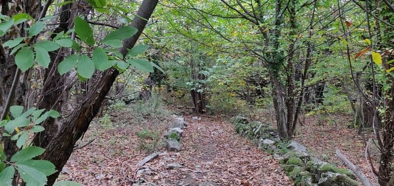 notre dame de la rouviere