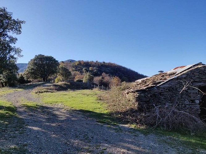 Col de l'Elze