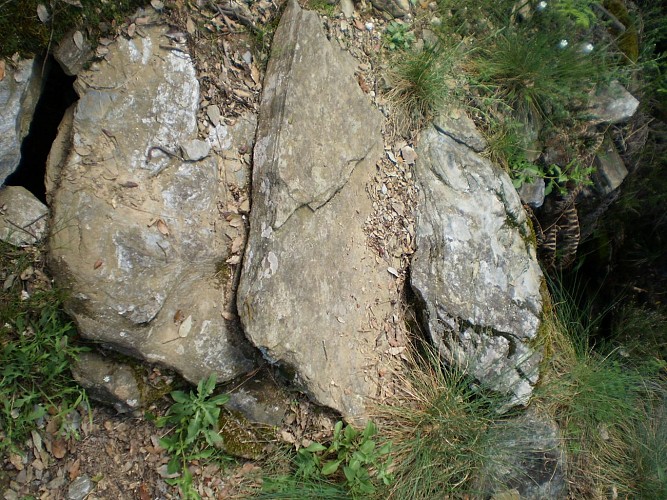 Sentier du pont de chèvres