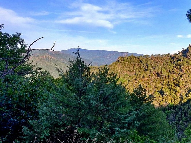Entre Gard et Lozère_Saint-André-de-Valborgne