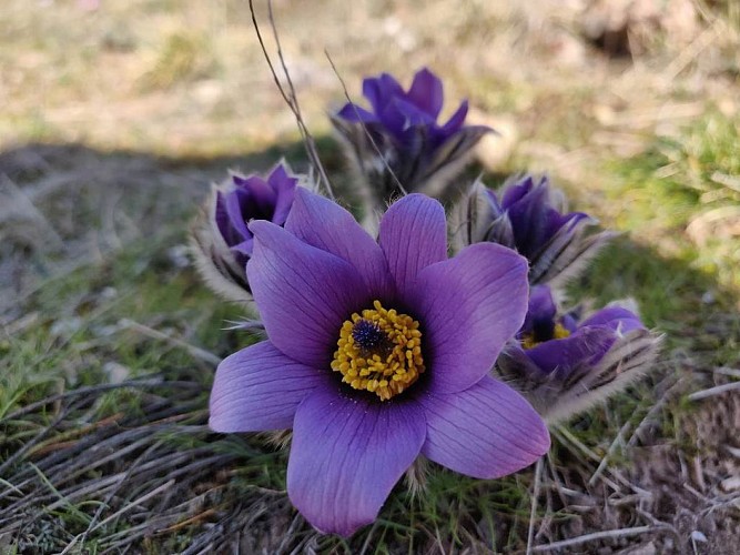Espace Cyclosport Massif de l'Aigoual - Circuit 16