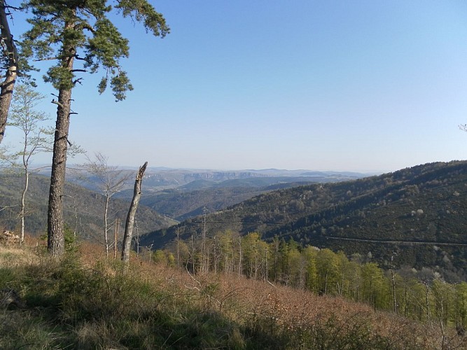 Espace VTT Massif de l'Aigoual - Circuit 8