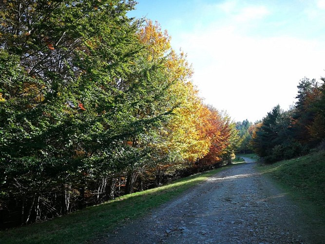 sentier du Col salidès