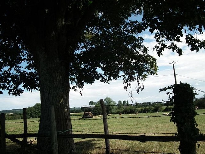 Les fours à chanvre