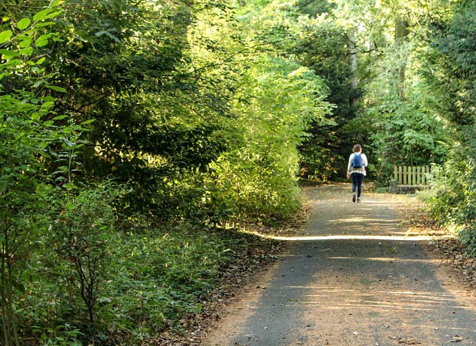 Breteil La Balade Verte
