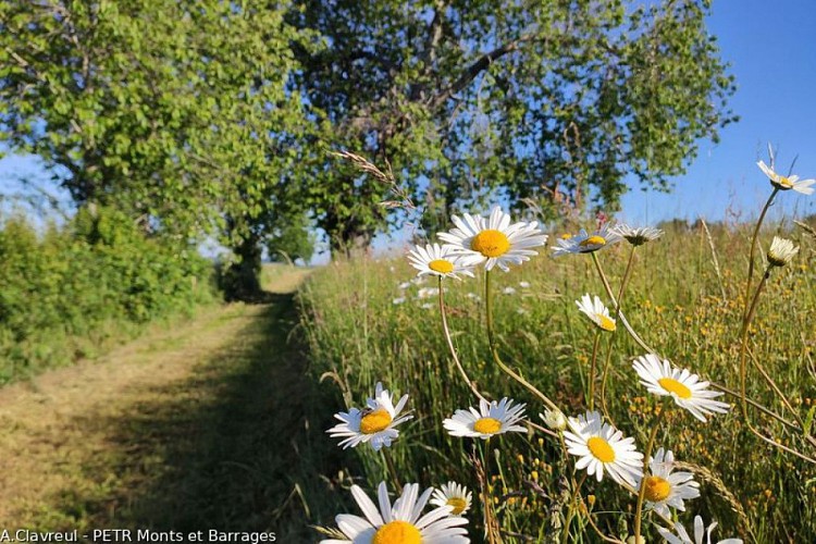 Sur le chemin à la sortie de St-Méard