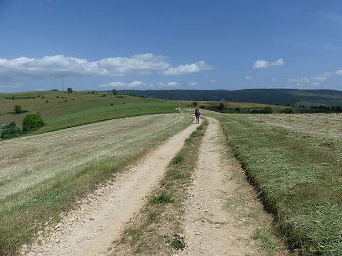 Causse de La Volte