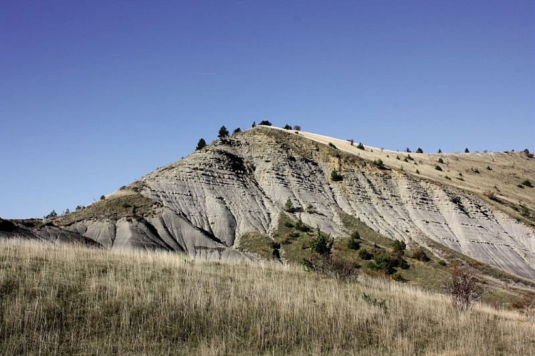 Marnes bleues sur le mont Lozère
