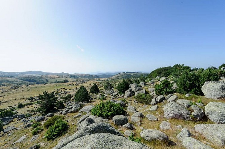 Paysage du mont Lozère