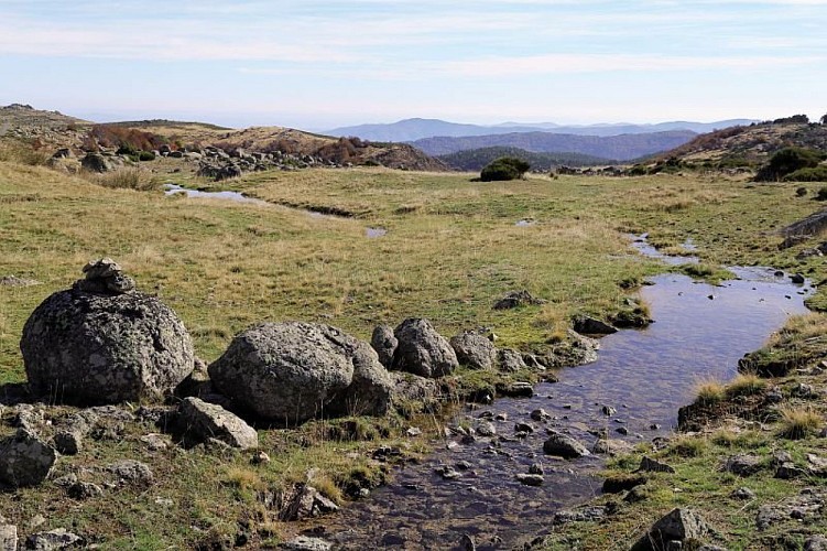 Paysage du mont Lozère