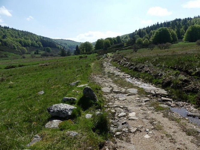 Vue sur le col de la Serreyrède