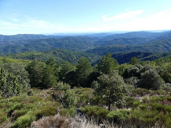 Vue sur Chamborigaud