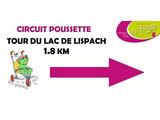 CIRCUIT MET KINDERWAGEN ROND HET LISPACH MEER