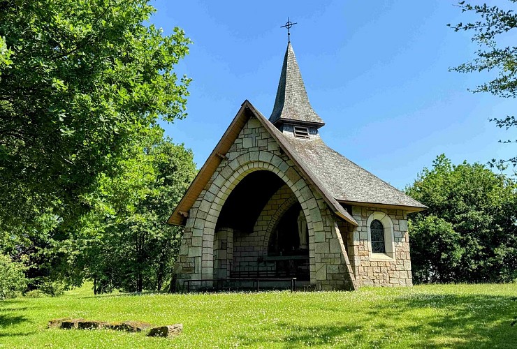 Tellin_variante_promenade_bois_de_machi©MTFSH-TEXTO_Pascal_Willems_(10)