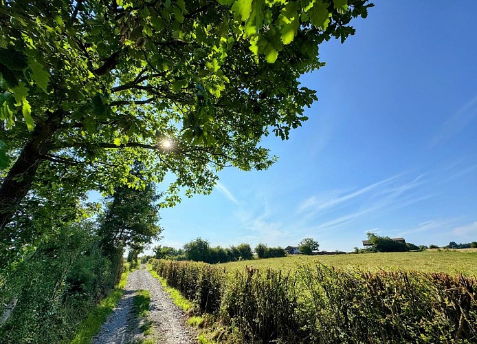 Tellin_promenade_entre_famenne_et_ardenne©MTFSH_TEXTO_Pascal_Willems_(16)