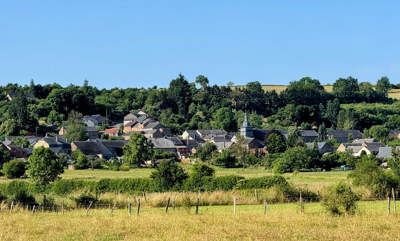 Tellin_promenade_entre_famenne_et_ardenne©MTFSH_TEXTO_Pascal_Willems_(23)