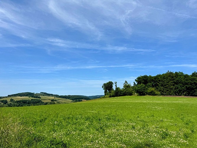 Tellin_promenade_entre_famenne_et_ardenne©MTFSH_TEXTO_Pascal_Willems_(72)