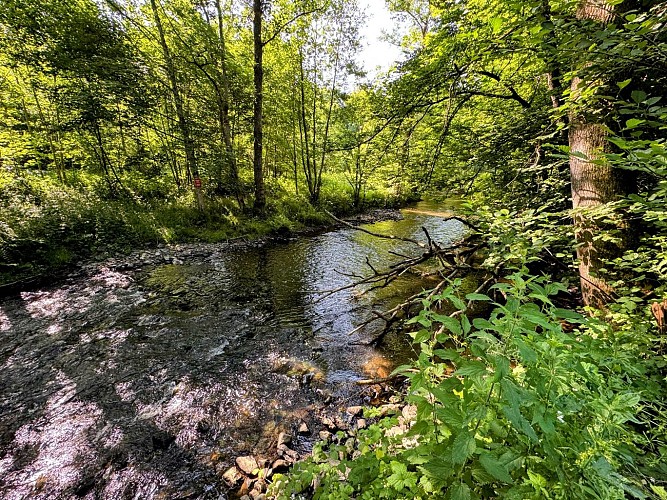 Tellin_promenade_entre_famenne_et_ardenne©MTFSH_TEXTO_Pascal_Willems_(83)