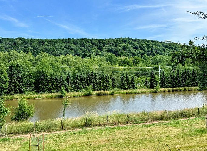 Tellin_promenade_du_pont_des_cloyes©MTFSH_TEXTO_Pascal_Willems_(11)