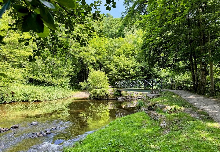 Tellin_promenade_du_pont_des_cloyes©MTFSH_TEXTO_Pascal_Willems_(16)