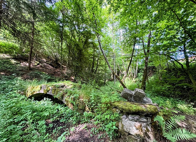 Tellin_promenade_du_pont_des_cloyes©MTFSH_TEXTO_Pascal_Willems_(85)