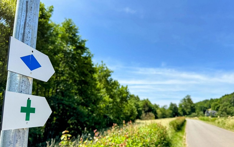 Tellin_circuit_de_la_reserve_domaniale©MTFSH_TEXTO_Pascal_Willems_(46)