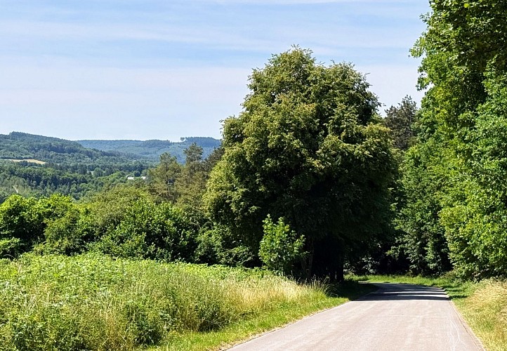 Tellin_circuit_de_la_reserve_domaniale©MTFSH_TEXTO_Pascal_Willems_(26)