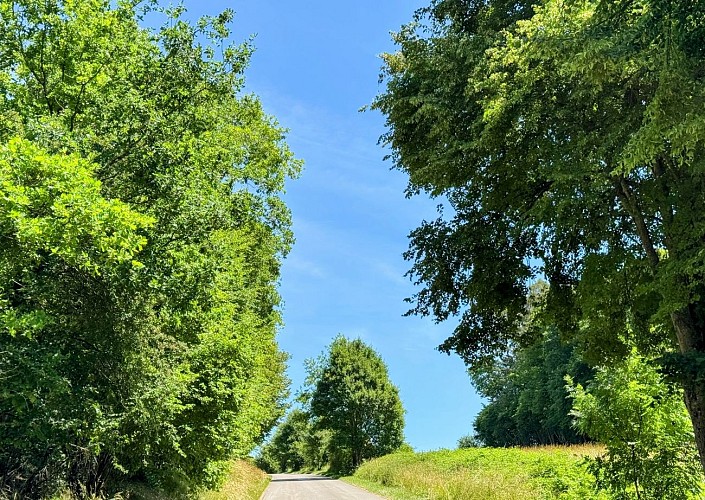 Tellin_circuit_de_la_reserve_domaniale©MTFSH_TEXTO_Pascal_Willems_(29)