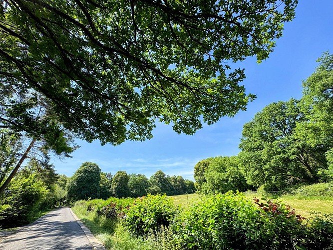Tellin_promenade_des_bords_de_lesse©MTFSH-TEXTO_Pascal_Willems_(110)