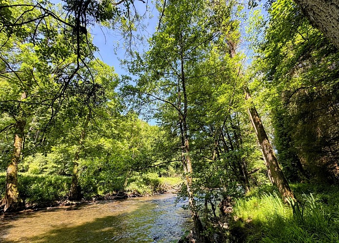 Tellin_promenade_des_bords_de_lesse©MTFSH-TEXTO_Pascal_Willems_(100)