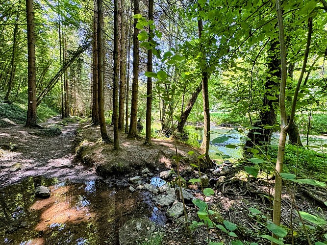 Tellin_promenade_des_bords_de_lesse©MTFSH-TEXTO_Pascal_Willems_(103)