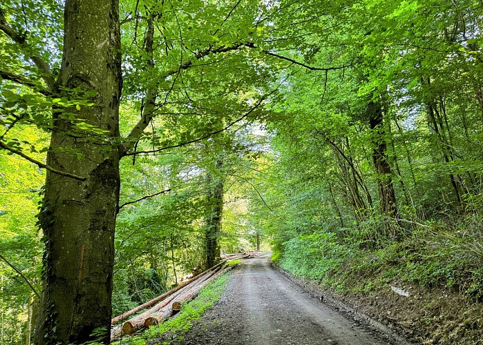 Tellin_promenade_des_bords_de_lesse©MTFSH-TEXTO_Pascal_Willems_(49)