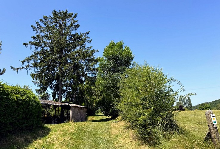 Tellin_promenade_du_trou_des_lutons©MTFSH_TEXTO_Pascal_Willems_(35)