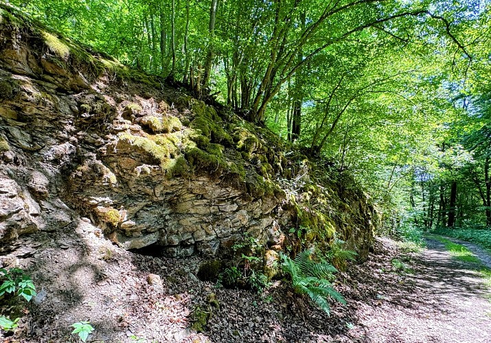 Tellin_promenade_du_trou_des_lutons©MTFSH_TEXTO_Pascal_Willems_(27)