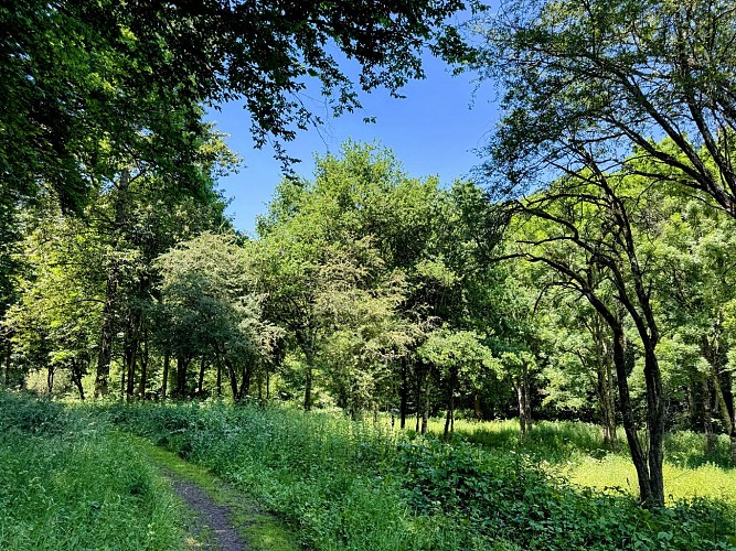 Tellin_promenade_du_trou_des_lutons©MTFSH_TEXTO_Pascal_Willems_(45)