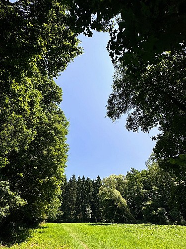 Tellin_promenade_du_trou_des_lutons©MTFSH_TEXTO_Pascal_Willems_(42)