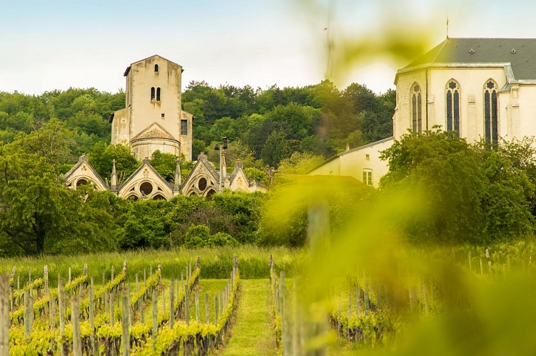 Cotes de toul tourist route